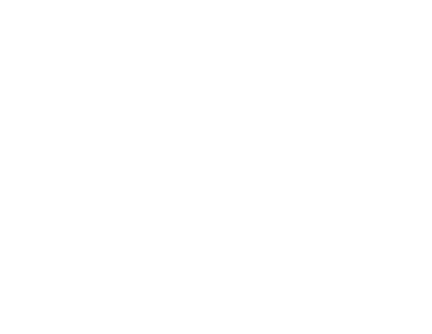 CHRISTOPHE ROUYER EXPERTISE